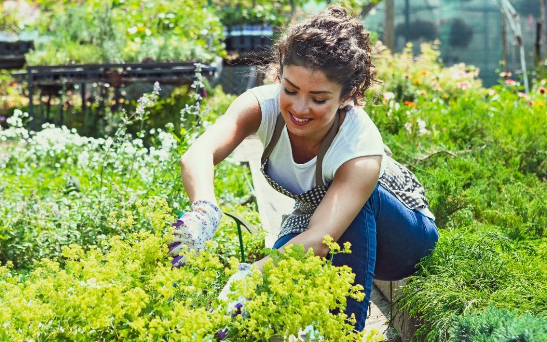 Hátfájás a kertészkedés árnyékában: Hogyan élvezheted a kerti munkát fájdalom nélkül?